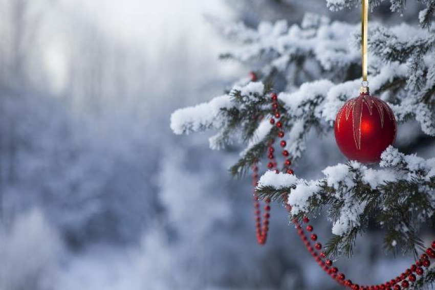 Новогоднюю ель установили на цветомузыкальном фонтане Кисловодска