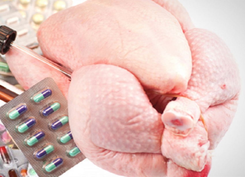 В курином мясе от ЗАО «Байсад» из Кисловодска обнаружили небезопасные антибиотики