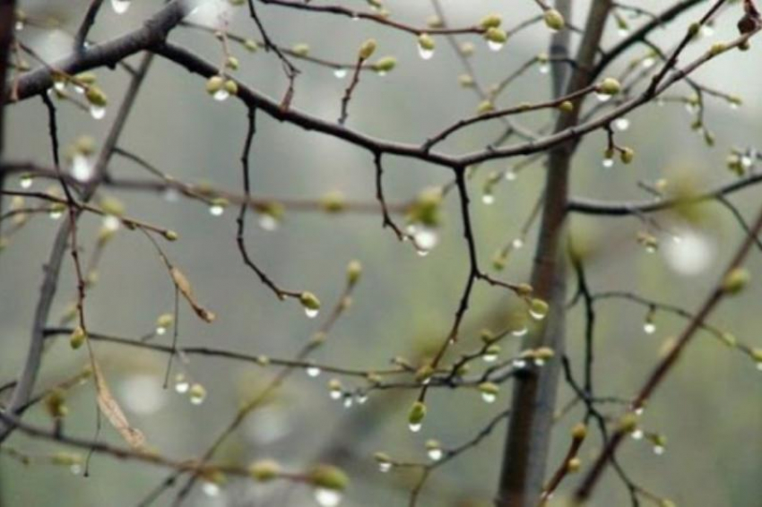До +10 и пасмурно: погода во вторник не порадует ставропольцев