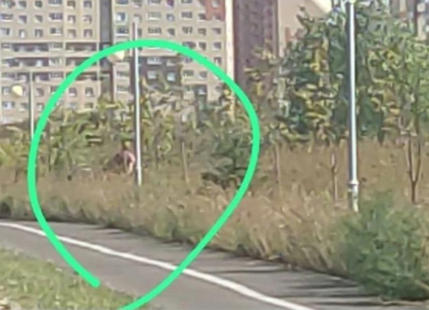 Пожилой онанист ежедневно появляется в Юго-Западном районе Ставрополя