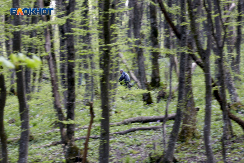 Погода в Ставрополе 1 апреля: природа тоже решила пошутить