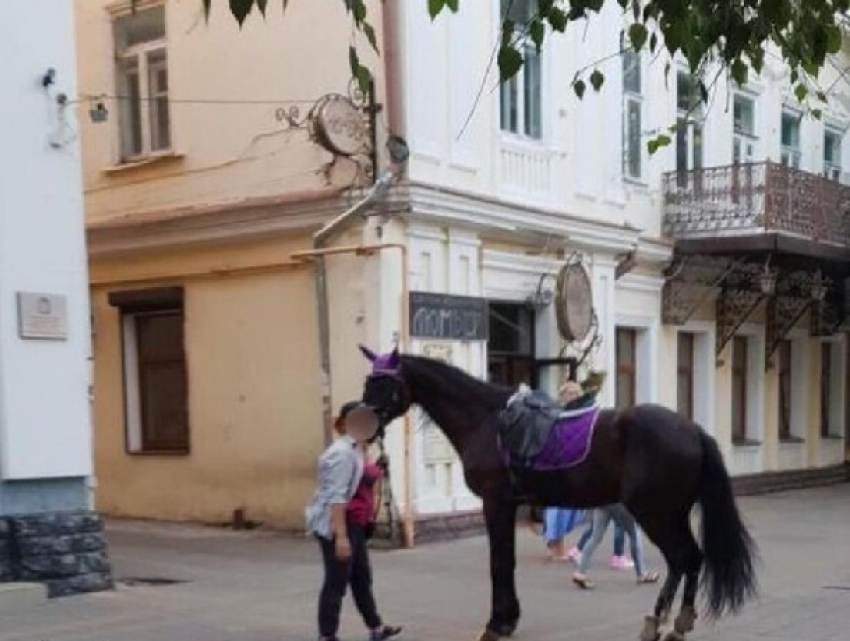 Штраф в 100 тысяч рублей получила предпринимательница за падение 5-летней девочки с лошади в Ставрополе 