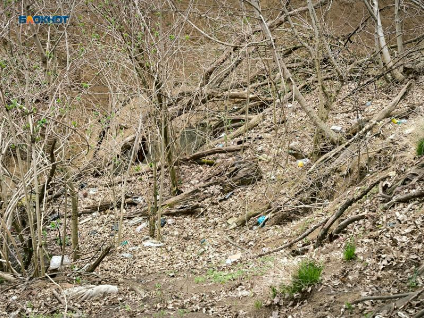 Очередное землетрясение магнитудой 3,4 произошло вблизи городов КМВ на Ставрополье