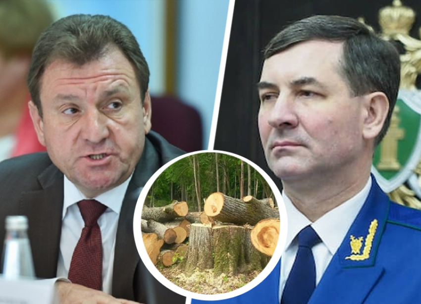 Администрация Ставрополя отказалась от вырубки 33 тысяч деревьев, но мэр не в курсе