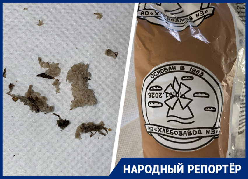 Дохлую муху обнаружила ставропольчанка в купленном хлебе