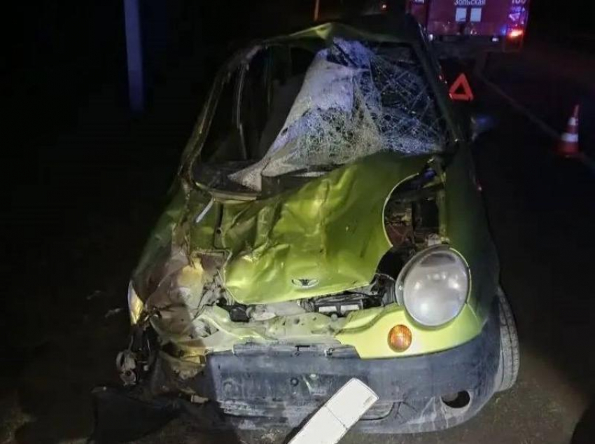 Лошадь пробила лобовое стекло машины с людьми на Ставрополье