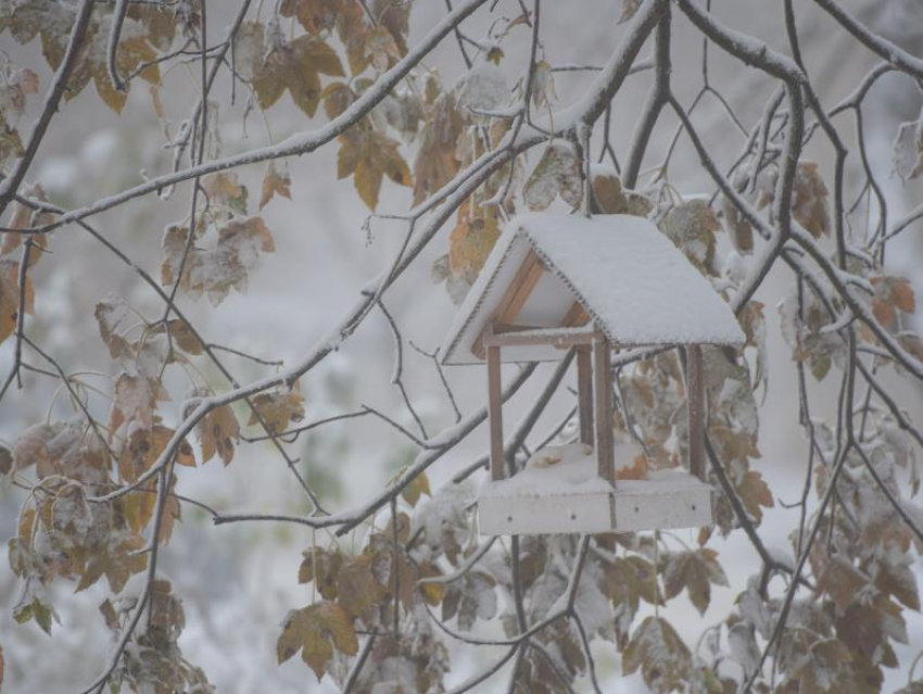 Ставропольчан ждет снежный понедельник