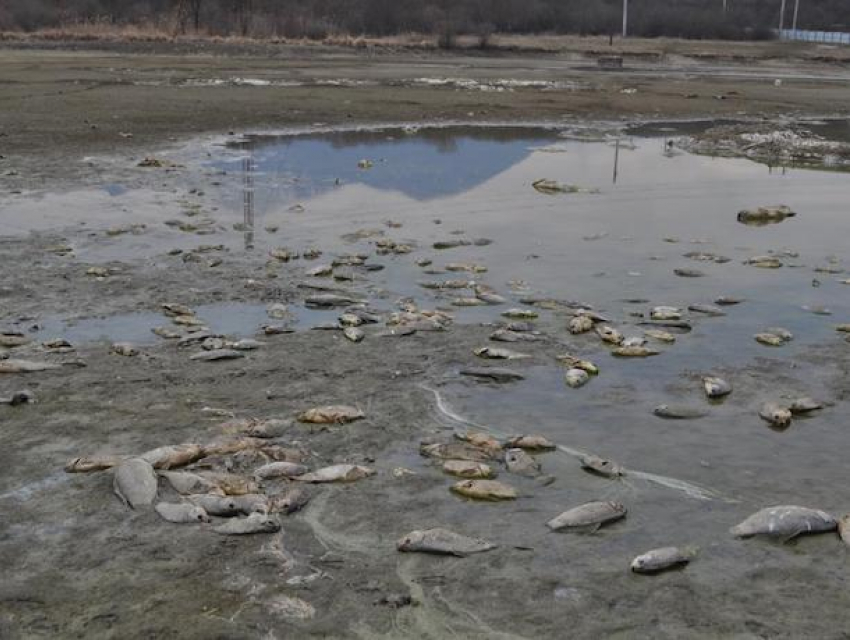 БДСМ Минеральные Воды