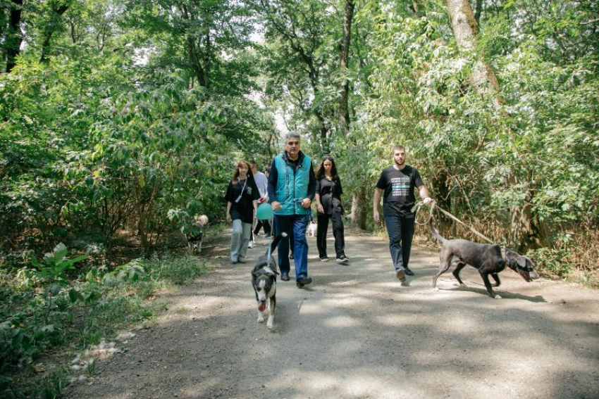 Лидер партии «Новые люди» Алексей Нечаев провел рабочие встречи в Ставрополе