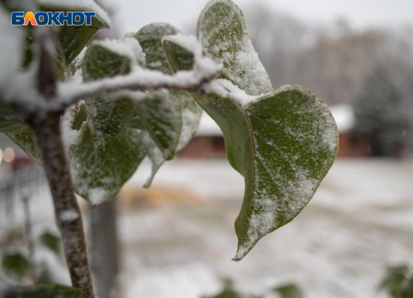 Похолодание до +2 градусов ночью и дождь пообещали ставропольцам в начале декабря 2025 года 