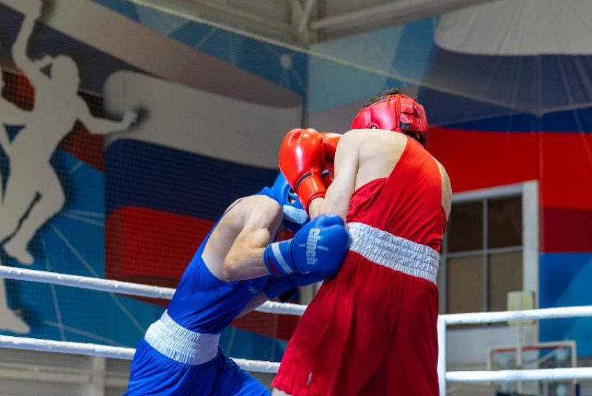 Всем бокс: в станице Суворовская прошли первые региональные турниры в новом году 