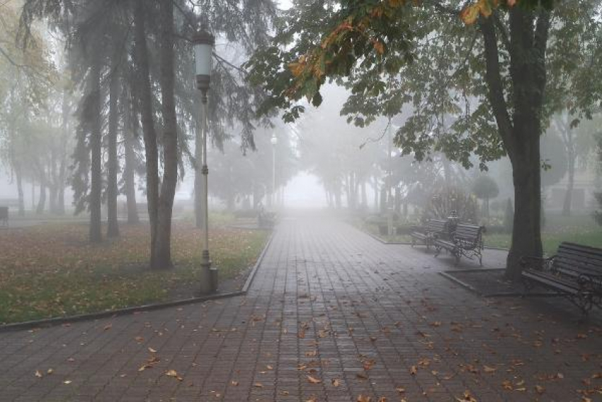 На Ставрополье 12 октября прогнозируются туман и порывистый ветер