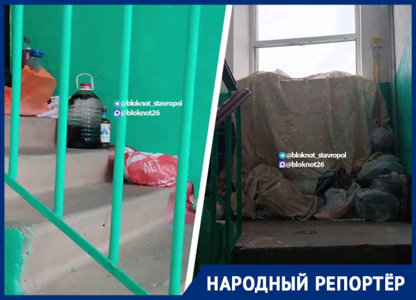 «Несет в квартиру с мусорки все»: бомжатник завел на Мира в Ставрополе один из жильцов