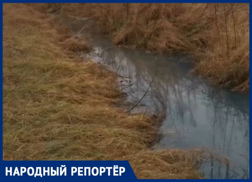 Местные жители Ставрополья предположительно нашли источник загрязнения реки Кума