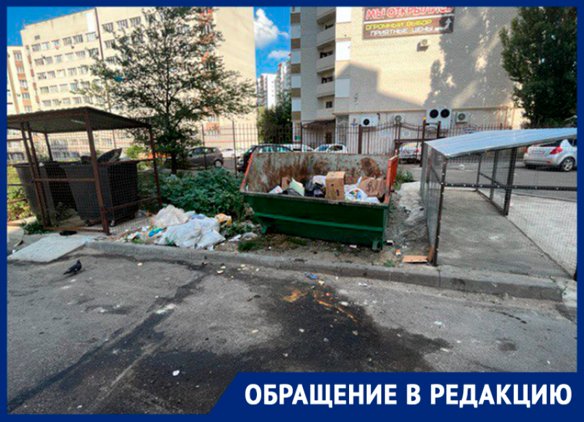 Загаженой мусоркой и пустырем вместо сквера любуются молодые семьи Ставрополья