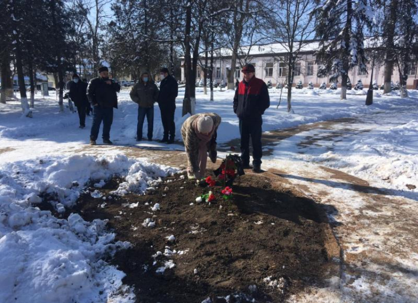 Жители станицы Курская пытаются доказать незаконность спиливания дуба