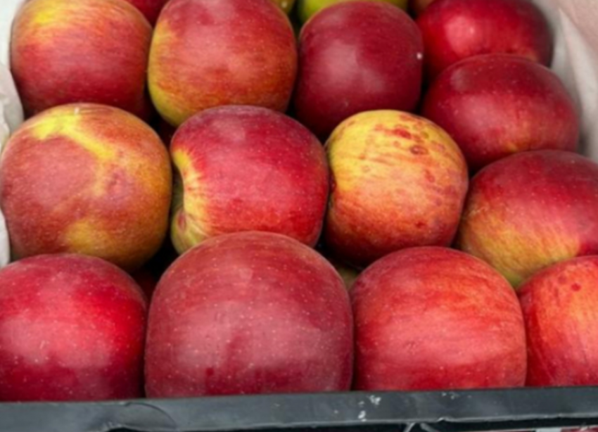 Яблочный сговор: урожай на Ставрополье упал, а цены на фрукт взлетели 