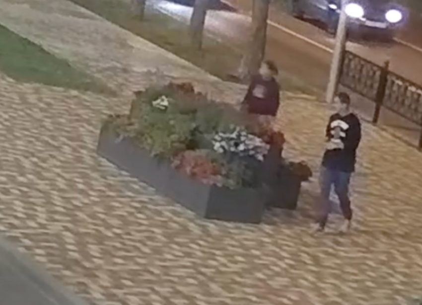 Вандалы вырвали цветы из новых вазонов в центре Ставрополя и попали на видео