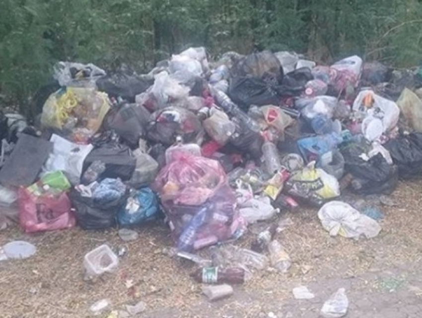 В омерзительную помойку с огромными кучами мусора  превратили популярный пляж Новотроицкого водохранилища
