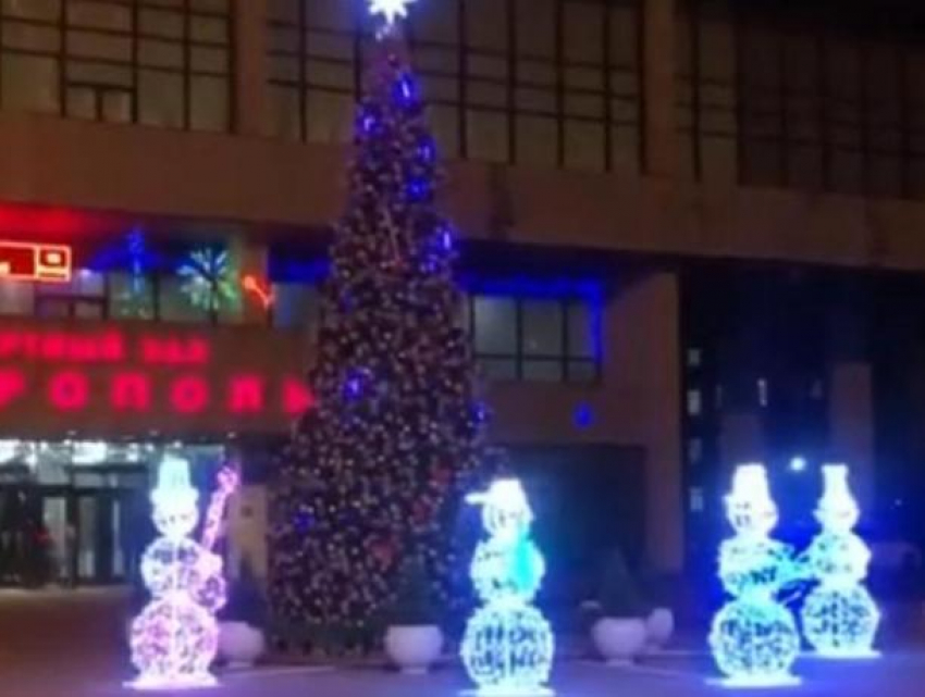 Снеговики «взяли в плен» елку возле ставропольского дворца культуры