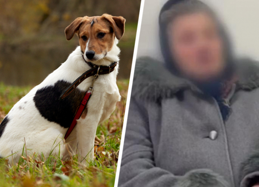 «Жизнь собаки важнее ребенка?»: российский блогер раскритиковал ставропольский суд над бабой Аллой 