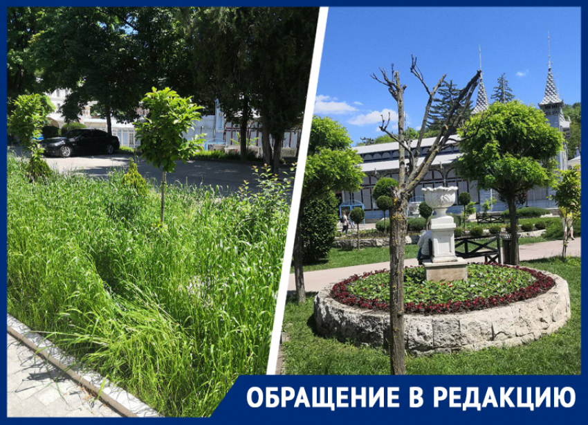 Пятигорский парк «Цветник» готов встречать туристов заросшей травой и голыми деревьями