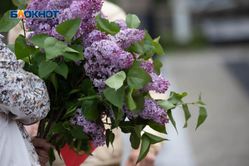 С ночного похолодания до +13 градусов начнется новая рабочая на Ставрополье 