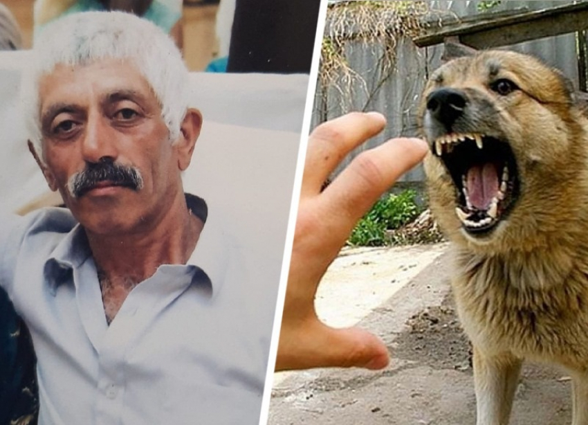 На Ставрополье бойцовская собака насмерть загрызла пожилого мужчину