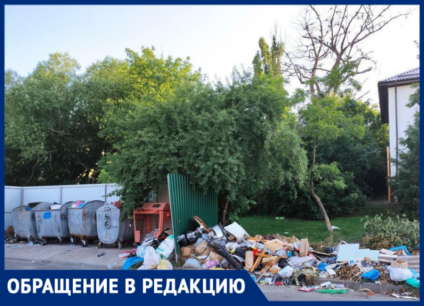 Жители Ставрополя пожаловались на свалку во дворе