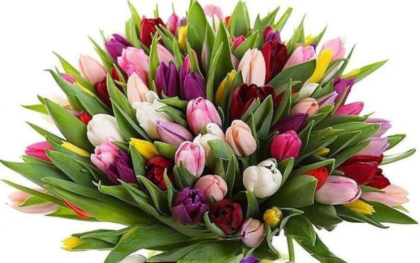 Цветочный салон «Pink Rose» предлагает широкий выбор тюльпанов к 8 марта