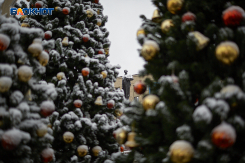 Главная елка Ставрополя засияет 19 декабря: старт праздника после 18 часов 
