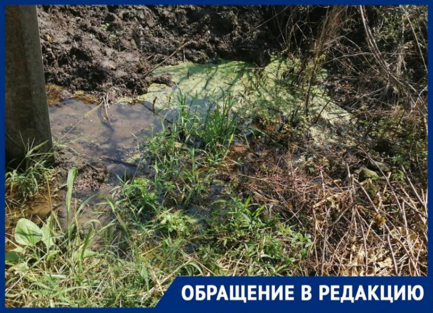 По колено в воде: расчистка русла Члы в Михайловске вызвала возмущение у местных жителей