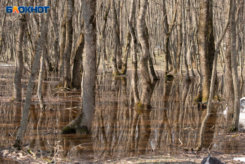 Прогноз погоды в Ставрополе на майские-2026: дожди, грозы и редкое солнце 