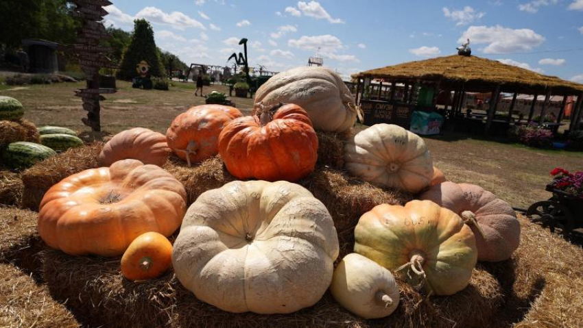 Почему отдыхать в «Пономарево» выгодно? 