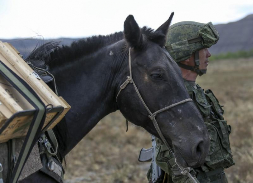 В ставропольском параде Победы впервые примут участие лошади