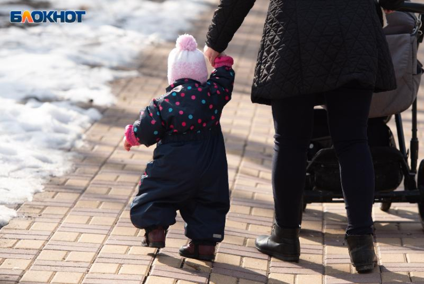 Двух жителей Ставрополья наградили медалью ордена «Родительская слава» по указу Путина