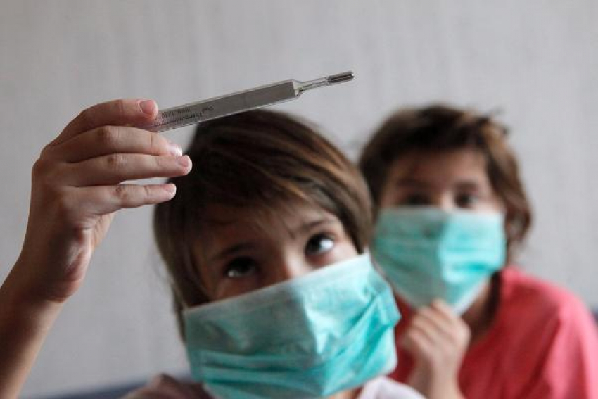Эпидемия свиного гриппа ожидается на Ставрополье