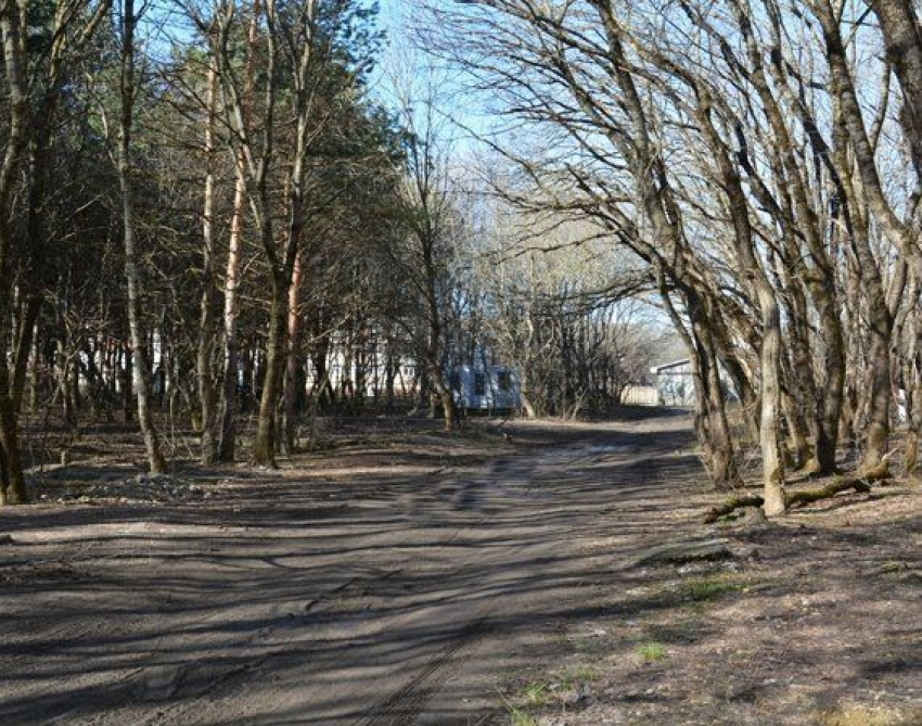В Таманском лесу Ставрополя убрали незаконные гаражи