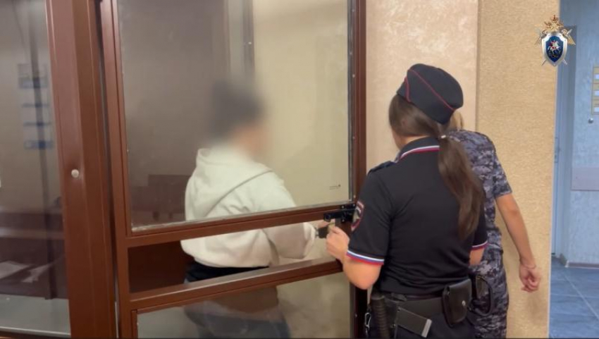 На Ставрополье адвокат с сообщником «развели» администрацию округа и жителей на 69 миллионов рублей