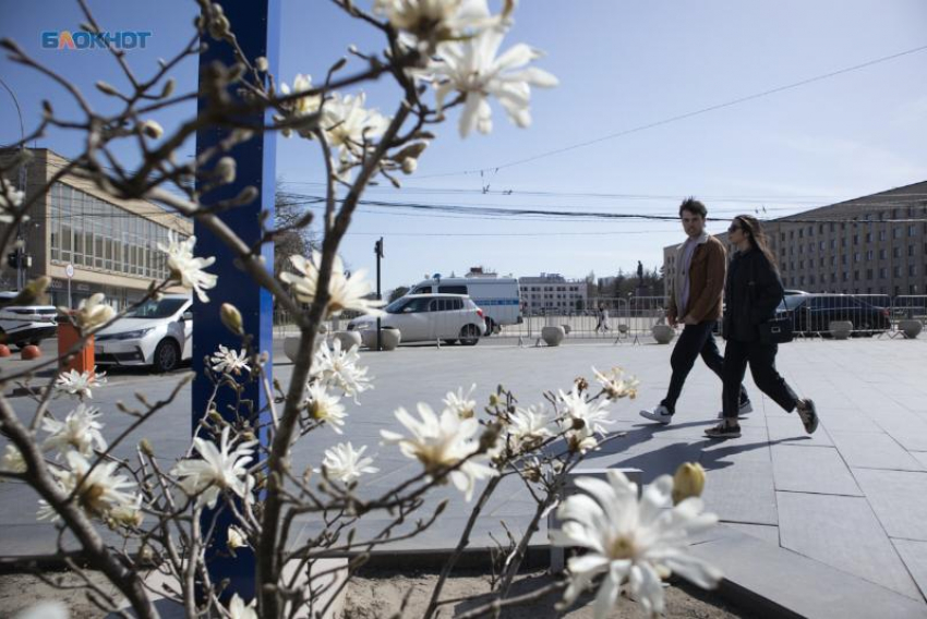 На проведение студвесны на Ставрополье из бюджета выделят 900 тысяч рублей