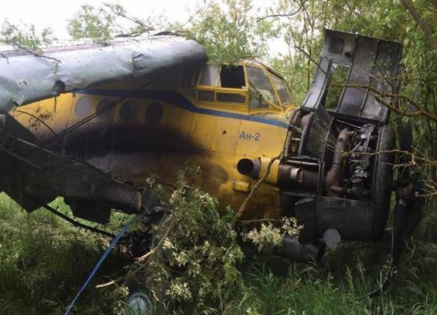 Стала известна причина падения самолета Ан-2 на Ставрополье