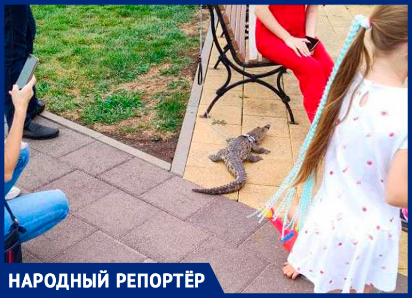 Крокодил на поводке ужаснул жителей Ставрополя