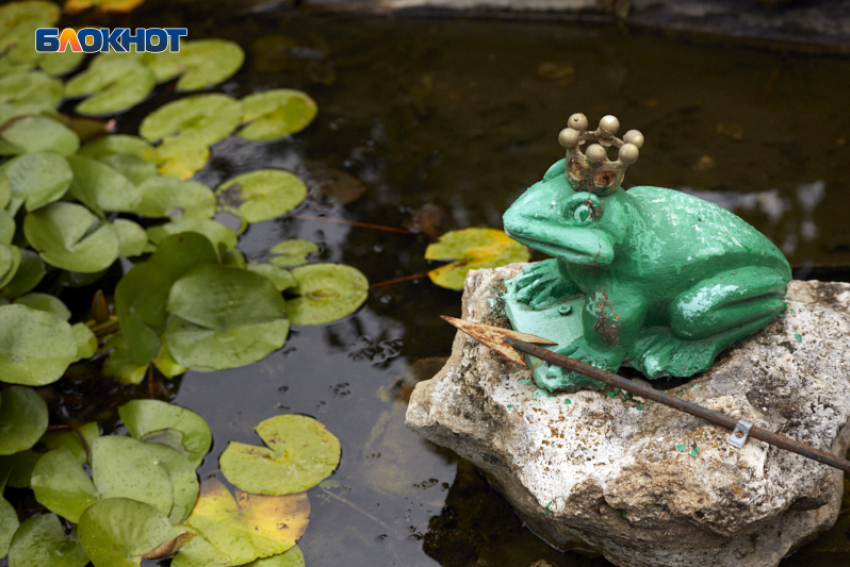 Еще один дождливый день и температуру до +15 градусов пообещали синоптики ставропольцам 16 октября