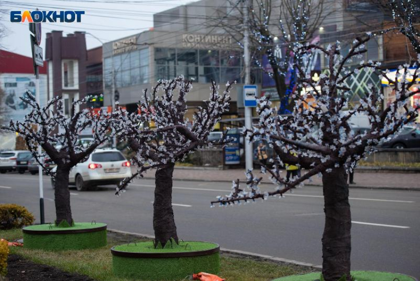 Скандальные светодиодные деревья в Ставрополе хотят отремонтировать за 11,5 миллиона рублей