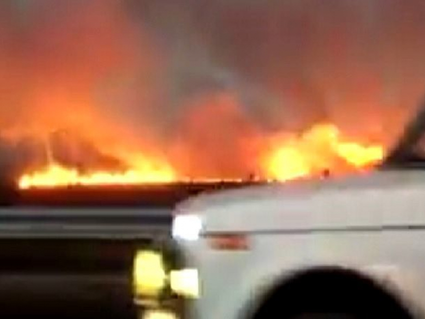 Бушующее на сотни метров пламя вдоль трассы под Невинномысском сняли на видео очевидцы