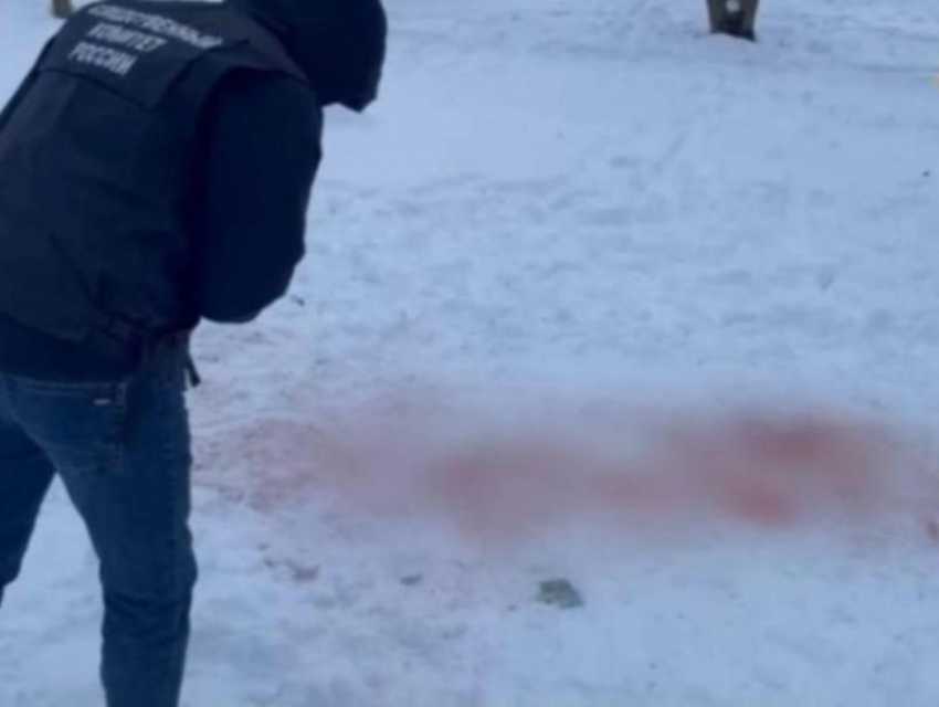 Нагоняй губернатору, иск на 4 миллиона и уголовные дела: поставили точку в деле убитой собаками в Ставрополе девочки