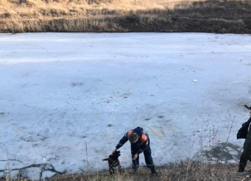 В Ставрополе 12-летний школьник чудом не утонул в Елагином пруду