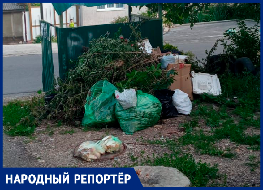 Гора мусора в районе цирка в Ставрополе возмутила горожан