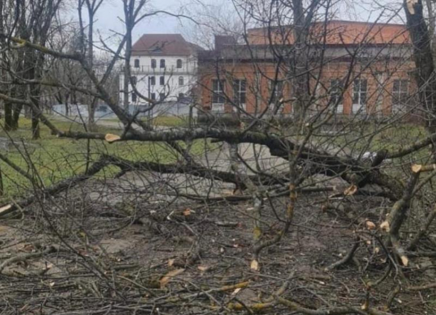 Упавшее дерево, поваленные остановки и обрушение части фасада — последствия непогоды на Ставрополье