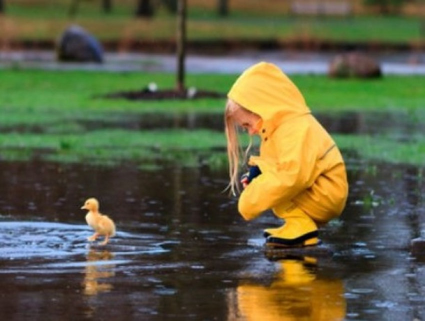 Дожди и облачность уберегут Ставрополье от невыносимой жары в ближайшие дни